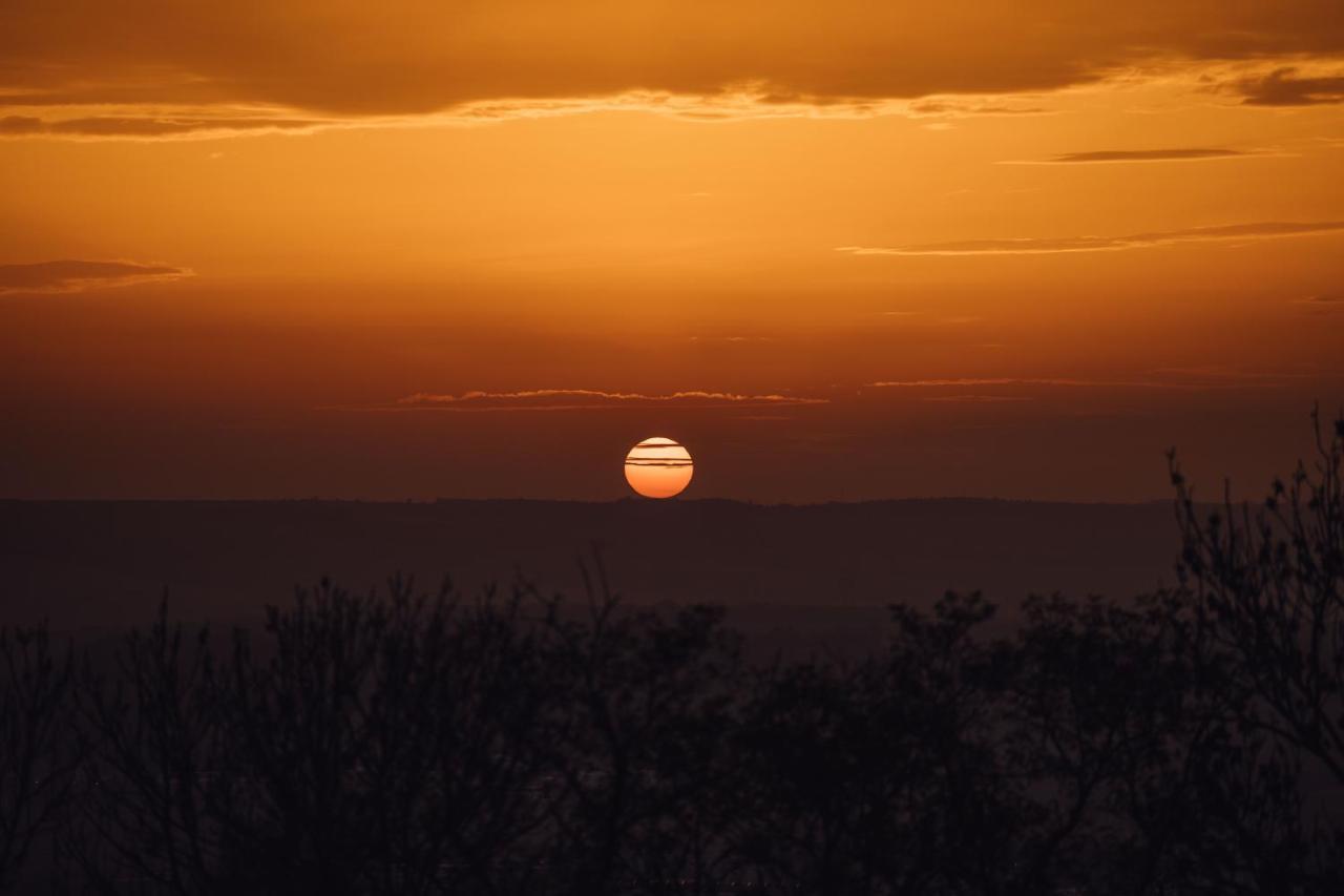 Maringotka Olívie v Ivančicích Ivancice Exteriér fotografie